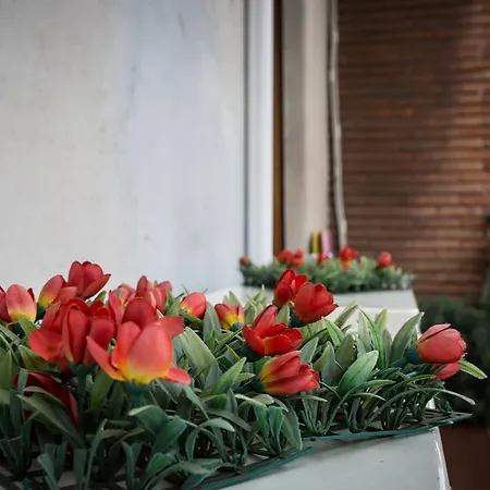 Bed & Breakfast Rosso Charming Vaticano